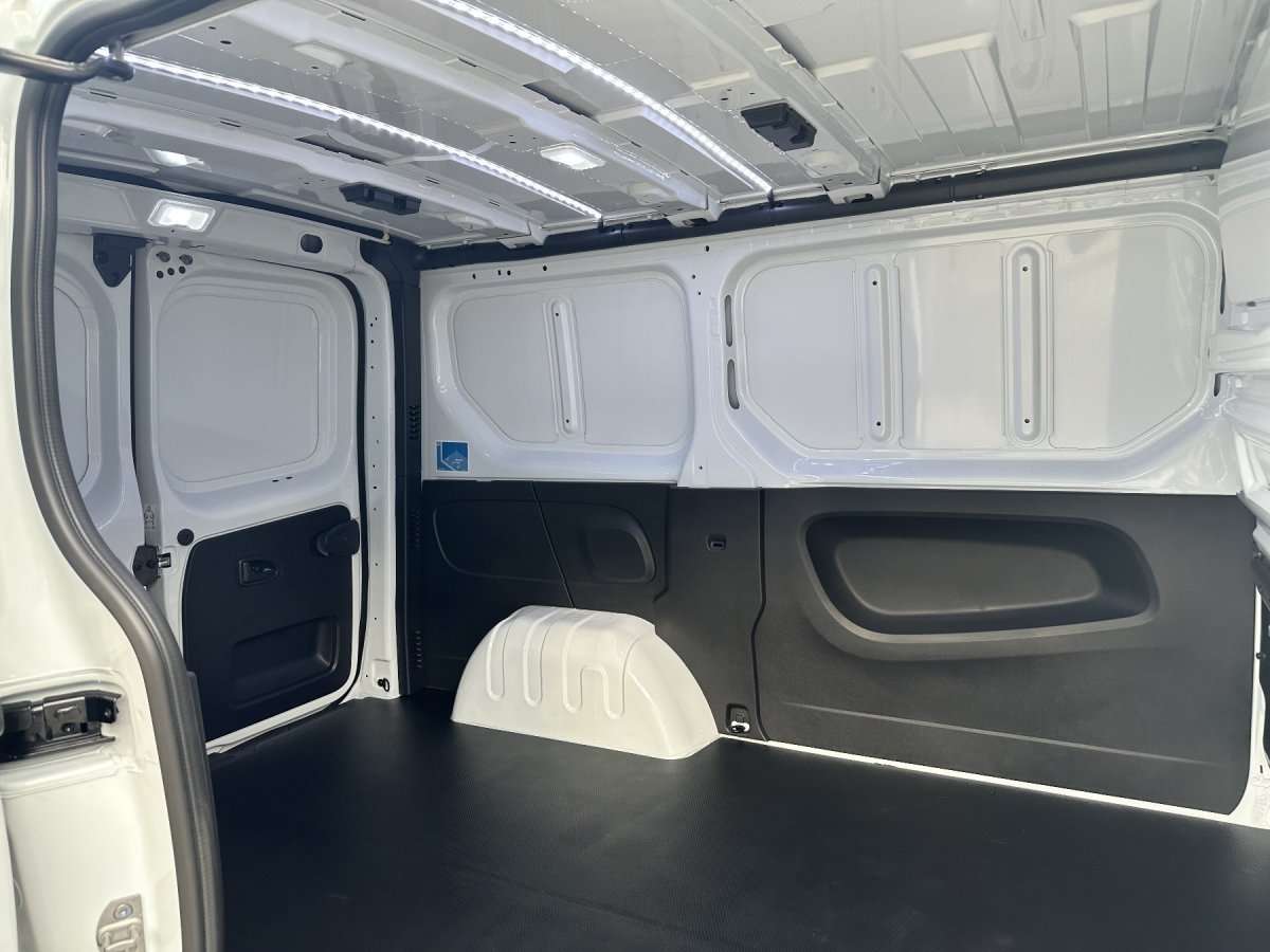 Fahrzeugbild eines Renault Trafic