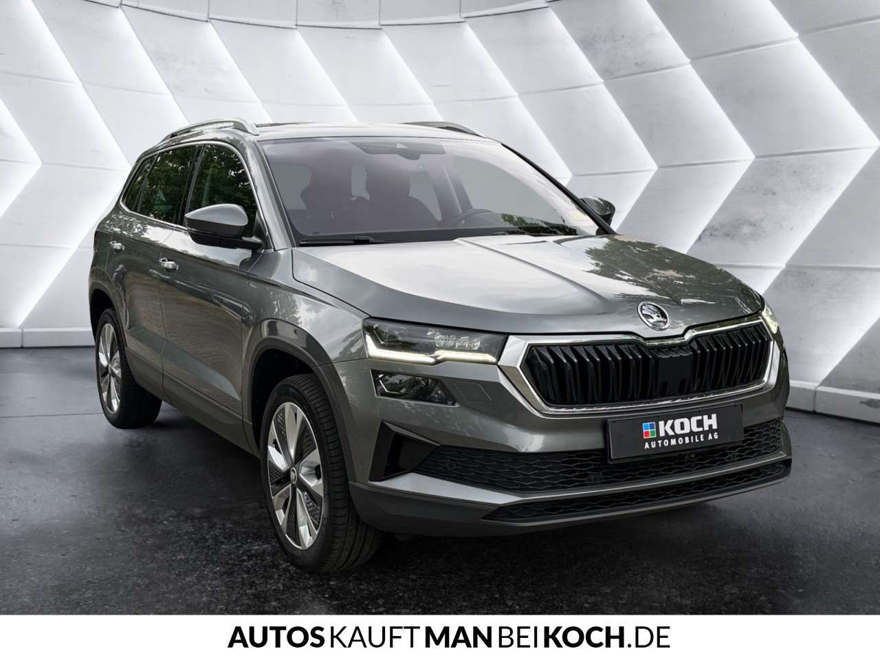 Fahrzeugbild eines Skoda Karoq