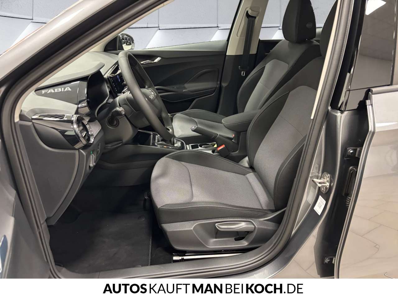 Fahrzeugbild eines Skoda Fabia