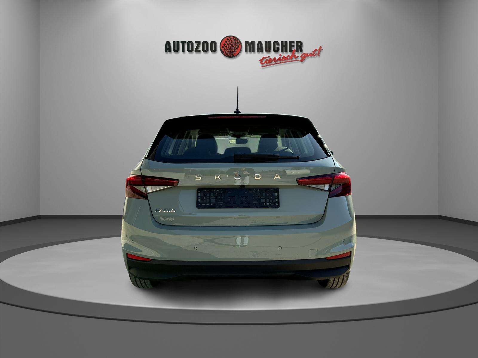 Fahrzeugbild eines Skoda Fabia