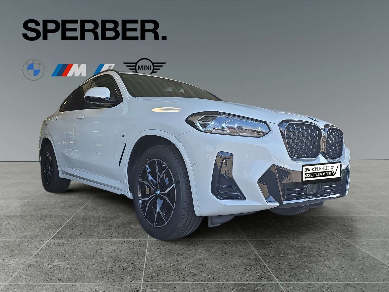 Fahrzeugbild eines BMW X4