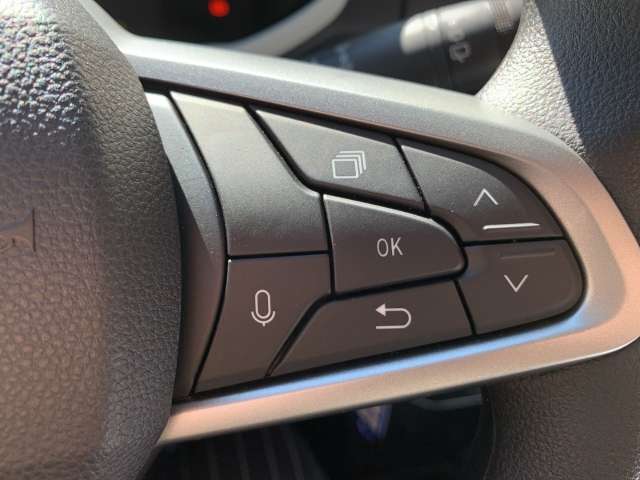 Fahrzeugbild eines Dacia Spring