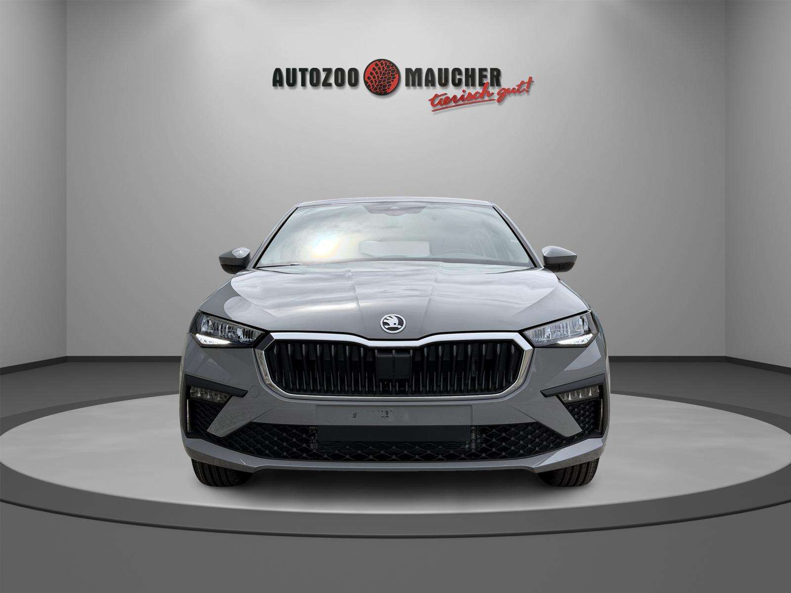 Fahrzeugbild eines Skoda Scala