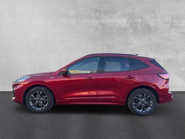 Fahrzeugbild eines Ford Kuga