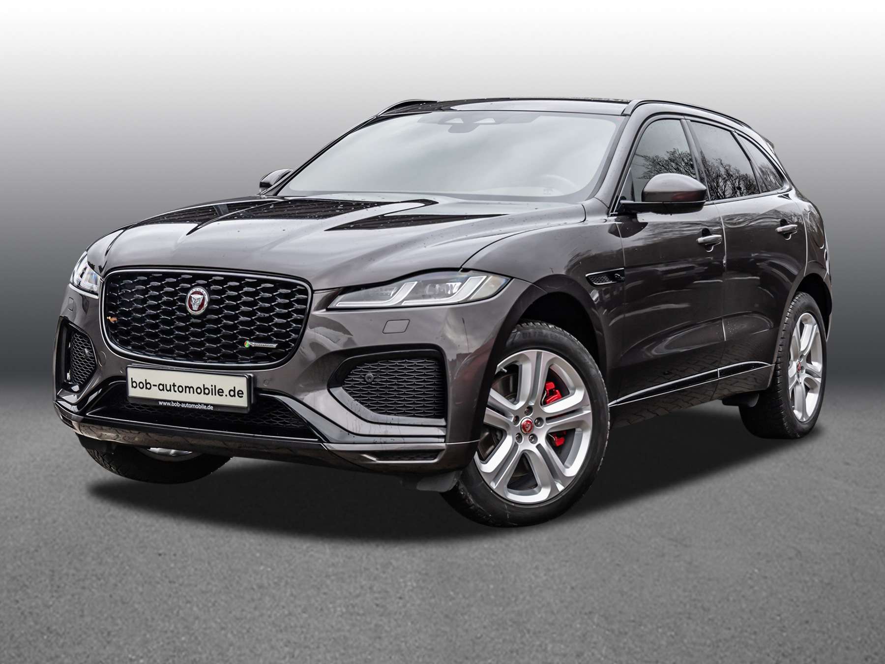 Fahrzeugbild eines Jaguar F-PACE