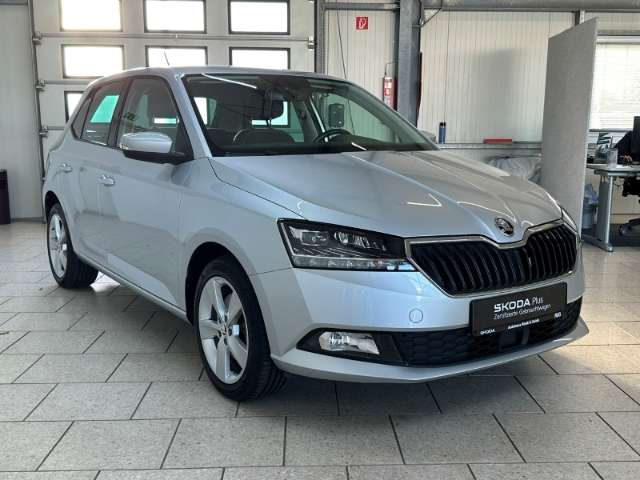 Fahrzeugbild eines Skoda Fabia