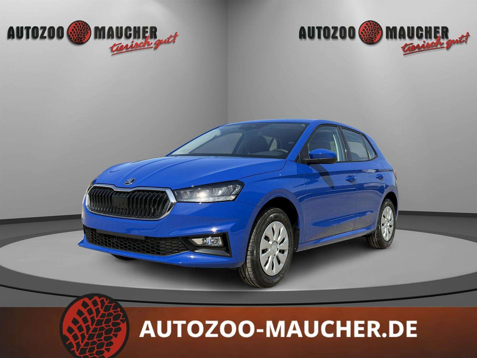 Fahrzeugbild eines Skoda Fabia