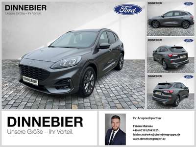 Bild Ford Kuga