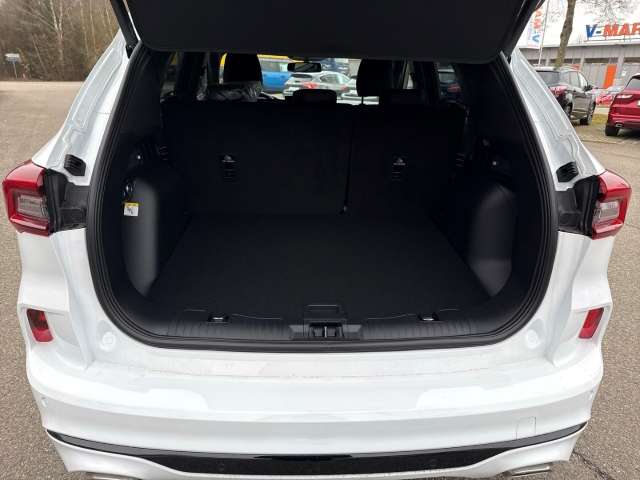 Fahrzeugbild eines Ford Kuga