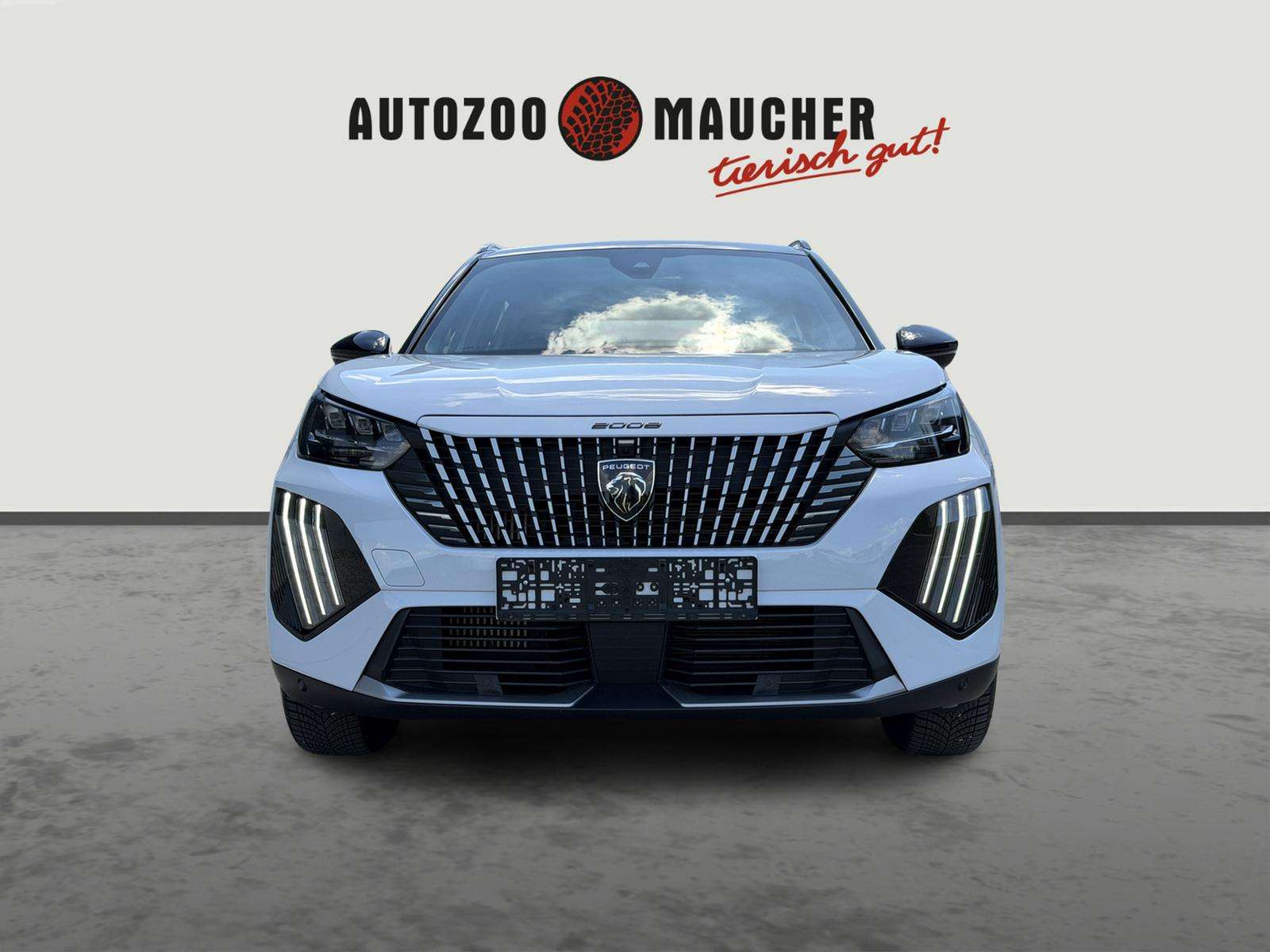Fahrzeugbild eines Peugeot 2008