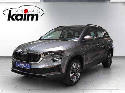 Bild Skoda Karoq