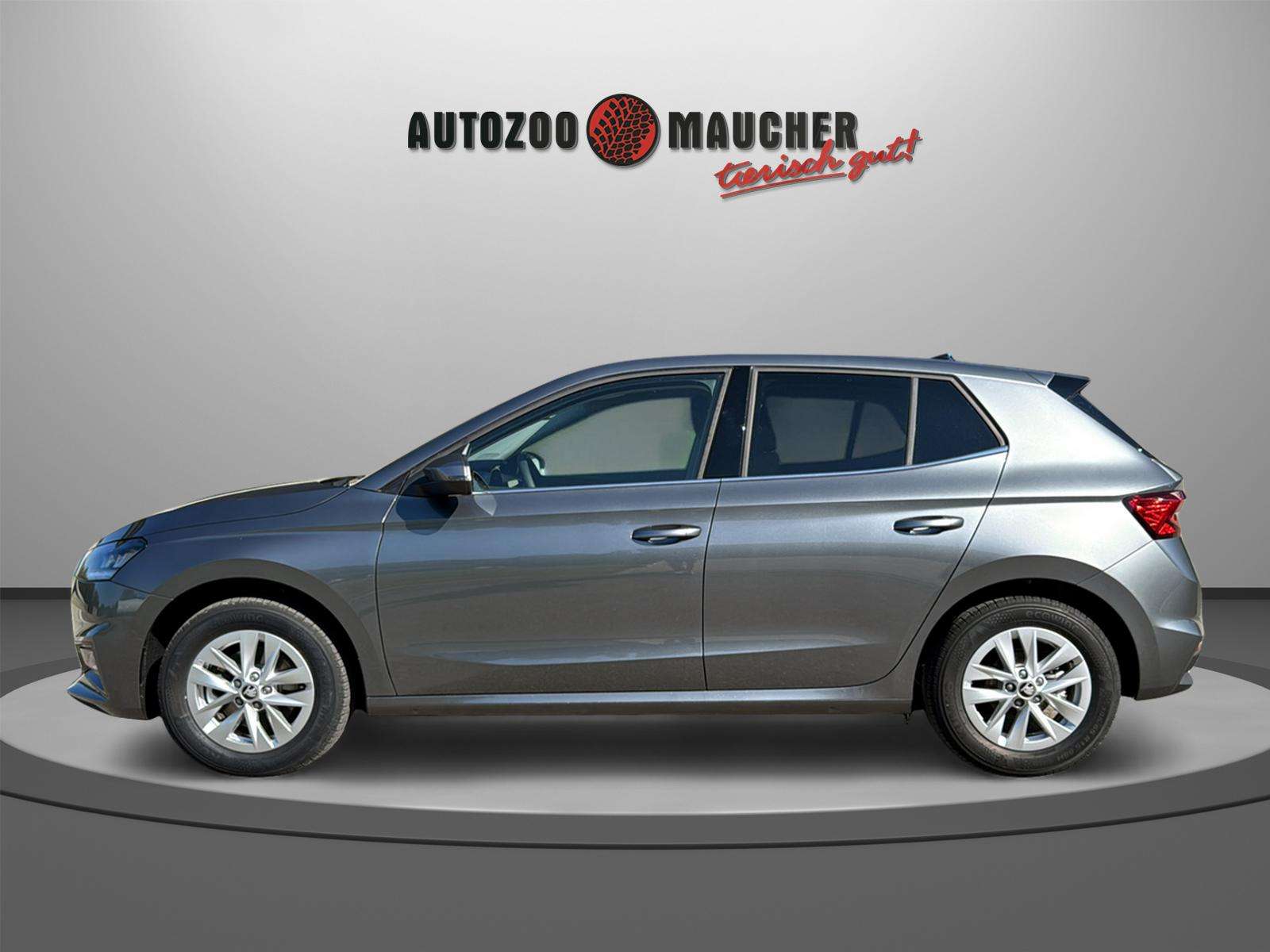 Fahrzeugbild eines Skoda Fabia