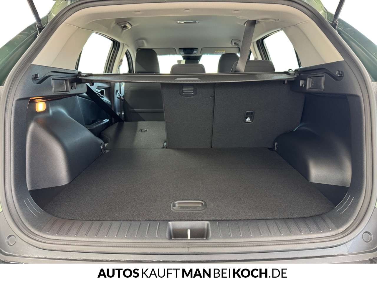 Fahrzeugbild eines Kia Sportage