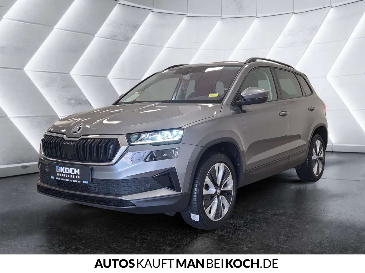 Fahrzeugbild eines Skoda Karoq