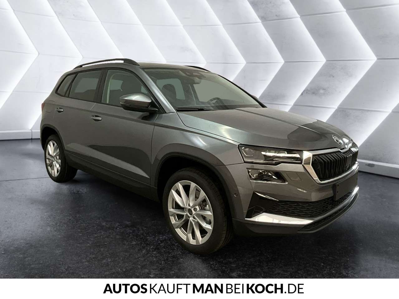 Fahrzeugbild eines Skoda Karoq