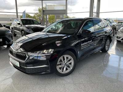 Bild Skoda Octavia