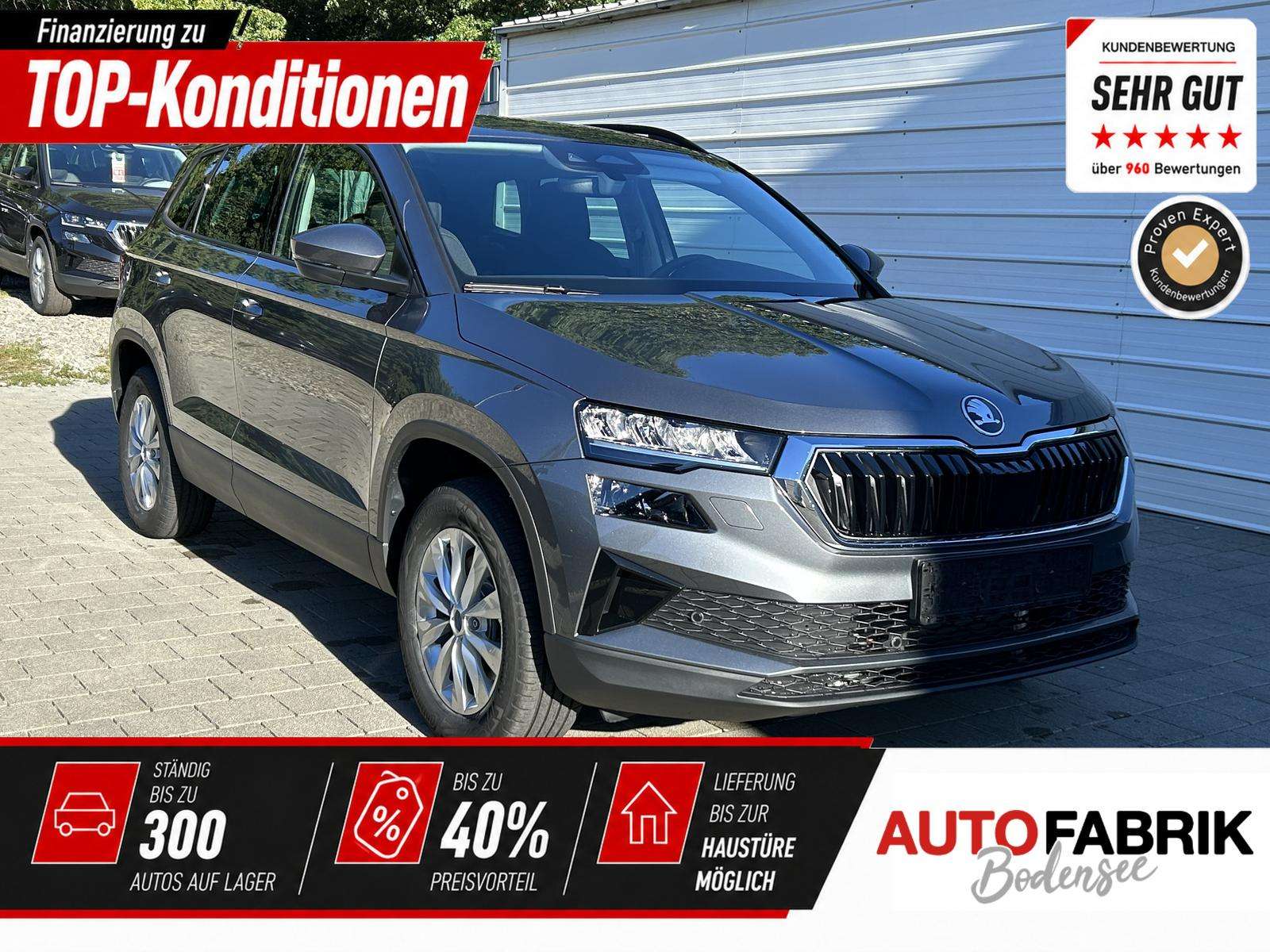 Fahrzeugbild eines Skoda Karoq