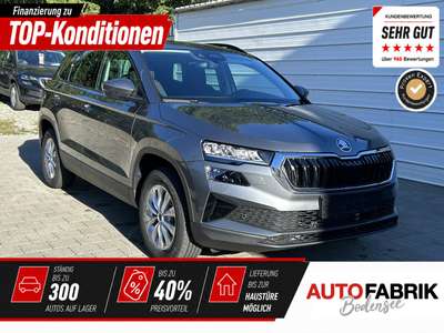 Bild Skoda Karoq