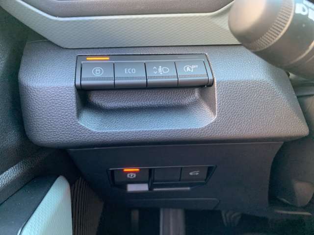 Fahrzeugbild eines Dacia Bigster