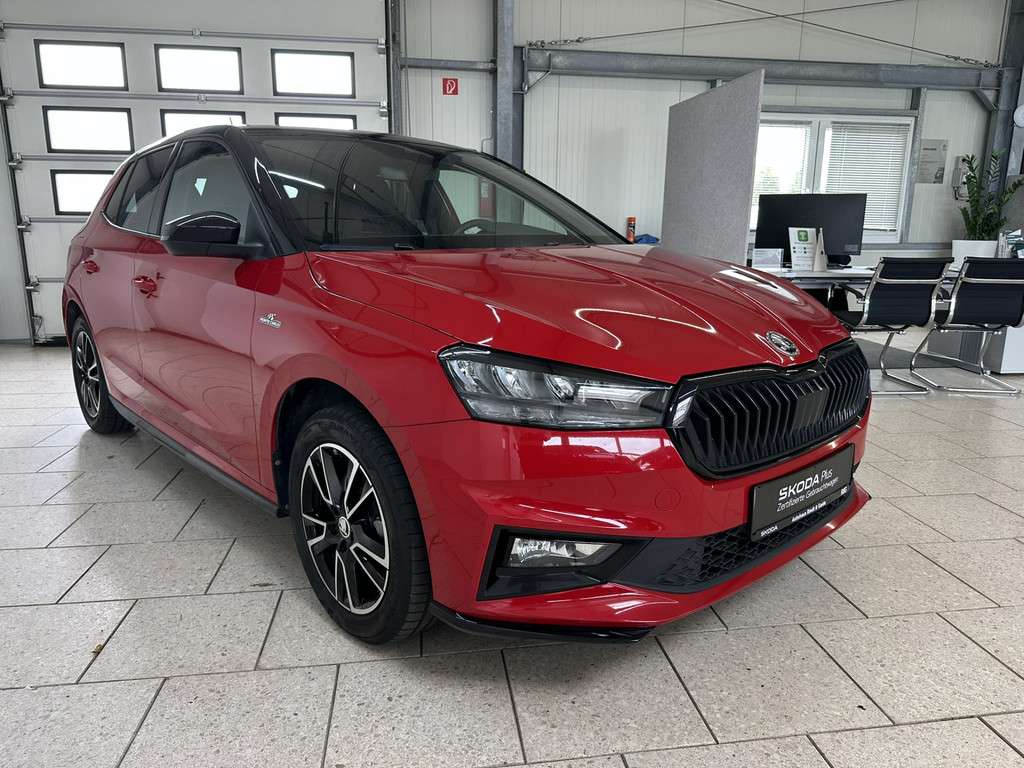 Fahrzeugbild eines Skoda Fabia