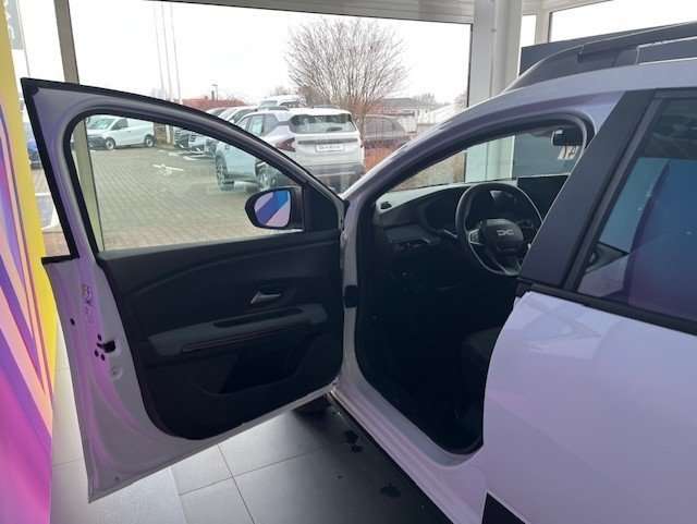 Fahrzeugbild eines Dacia Sandero