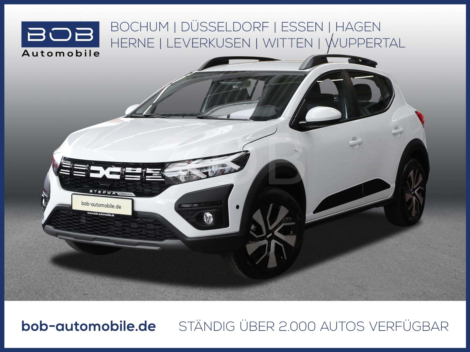 Fahrzeugbild eines Dacia Sandero