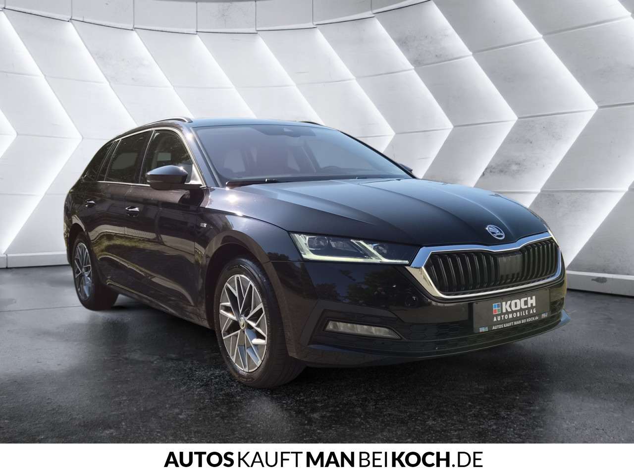 Fahrzeugbild eines Skoda Octavia