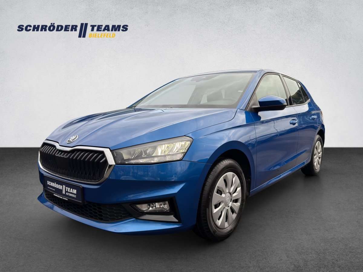 Fahrzeugbild eines Skoda Fabia