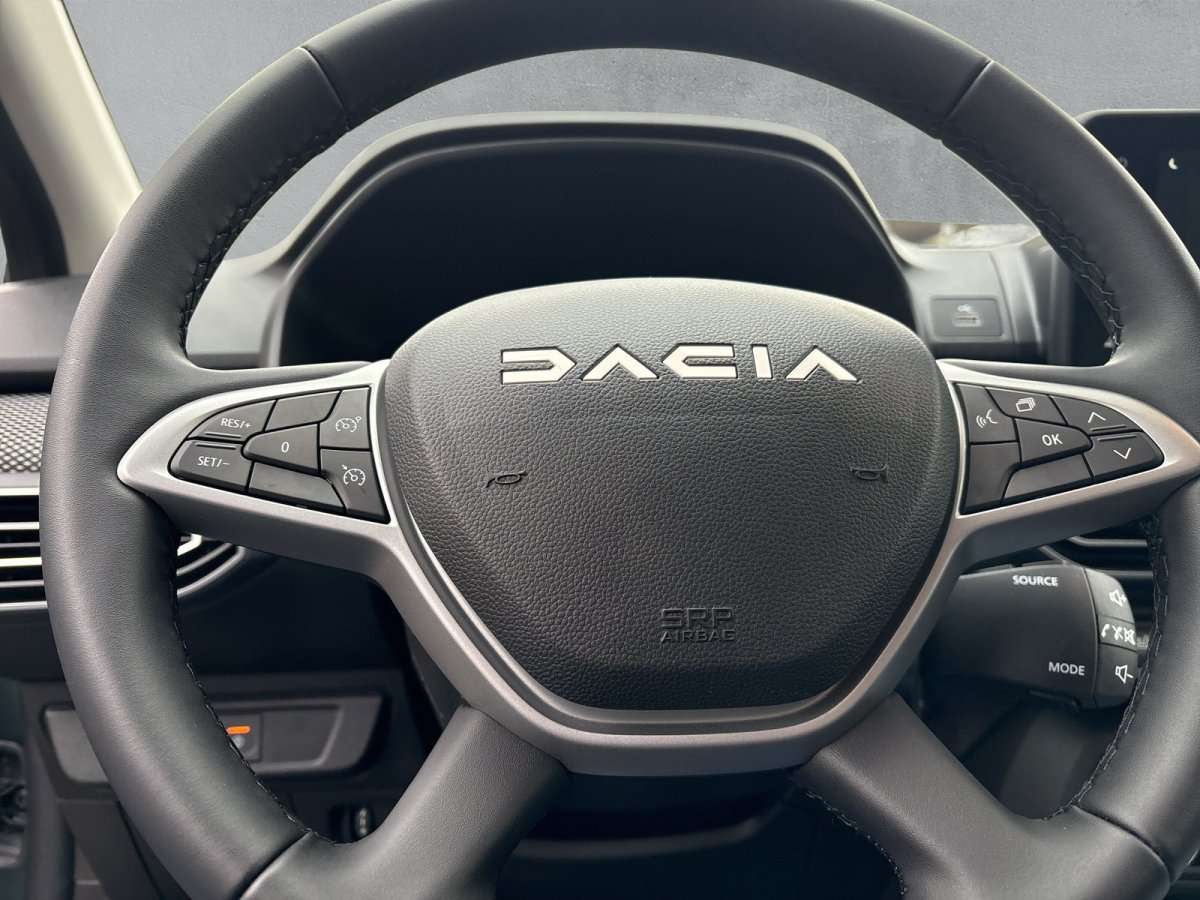 Fahrzeugbild eines Dacia Sandero