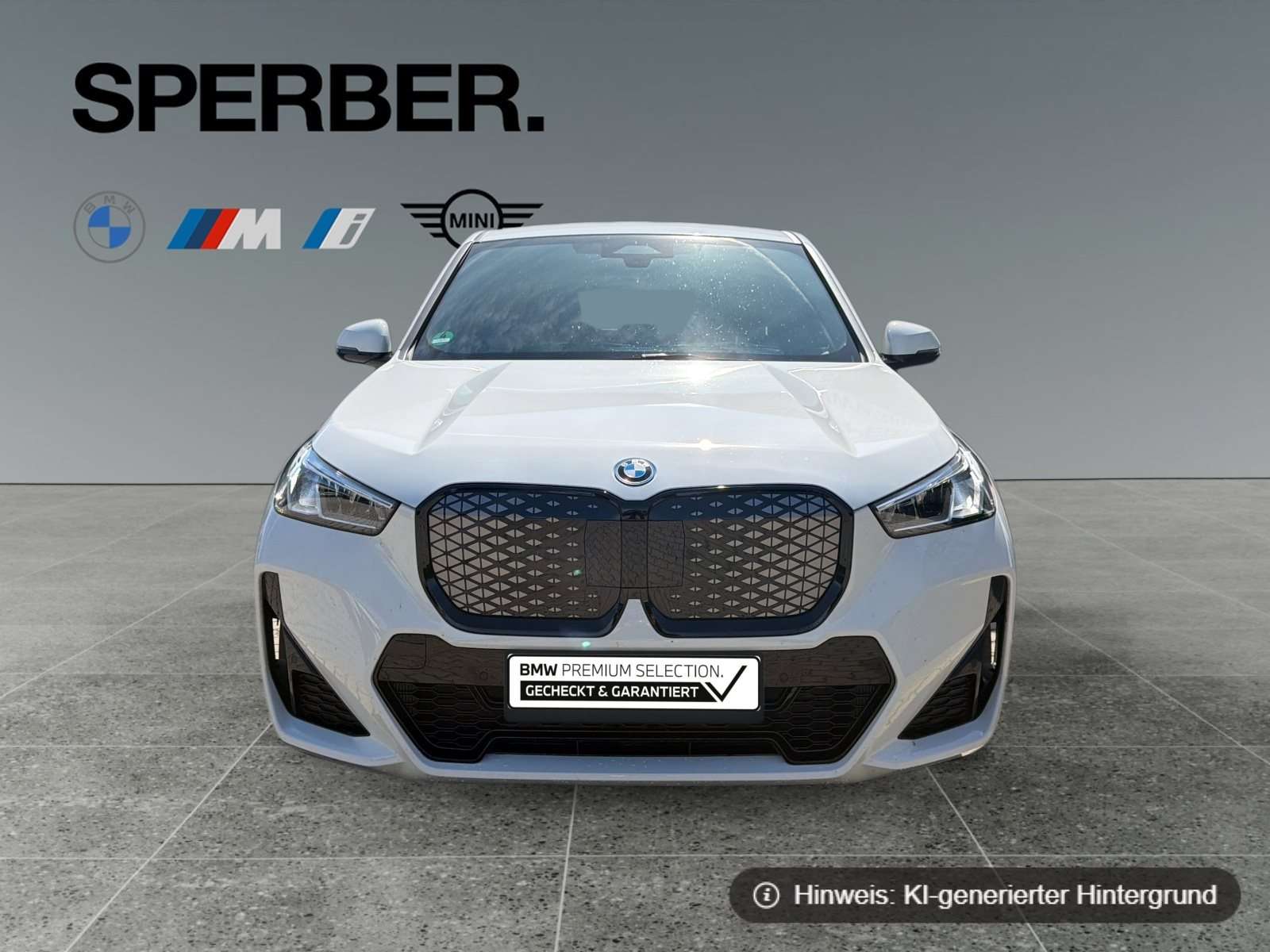 Fahrzeugbild eines BMW iX1