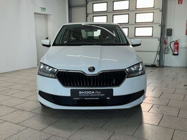 Fahrzeugbild eines Skoda Fabia
