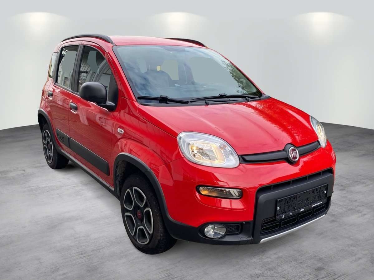 Fahrzeugbild eines Fiat Panda