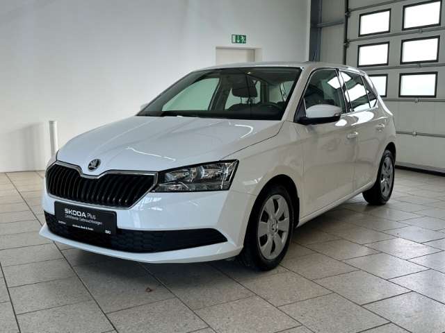 Fahrzeugbild eines Skoda Fabia