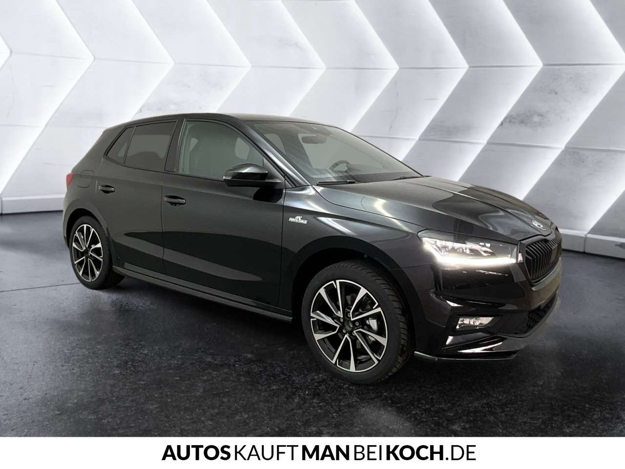 Fahrzeugbild eines Skoda Fabia