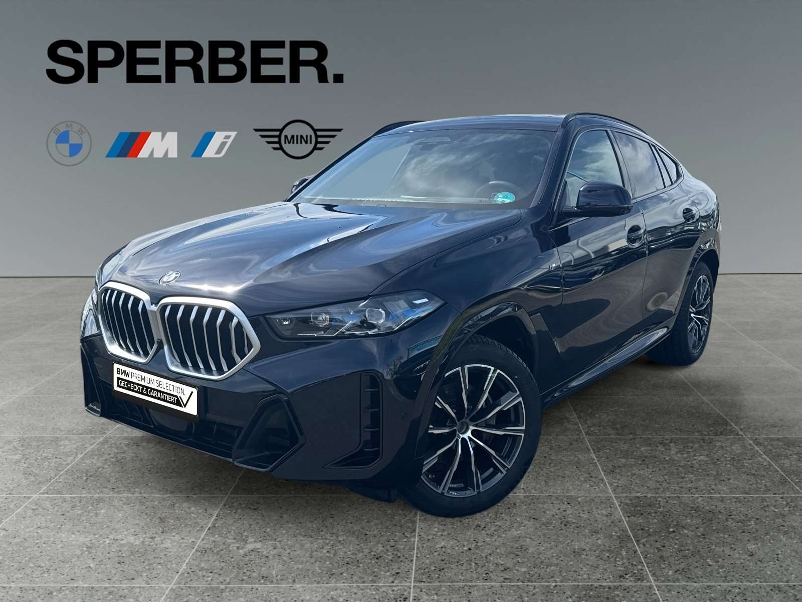 Fahrzeugbild eines BMW X6
