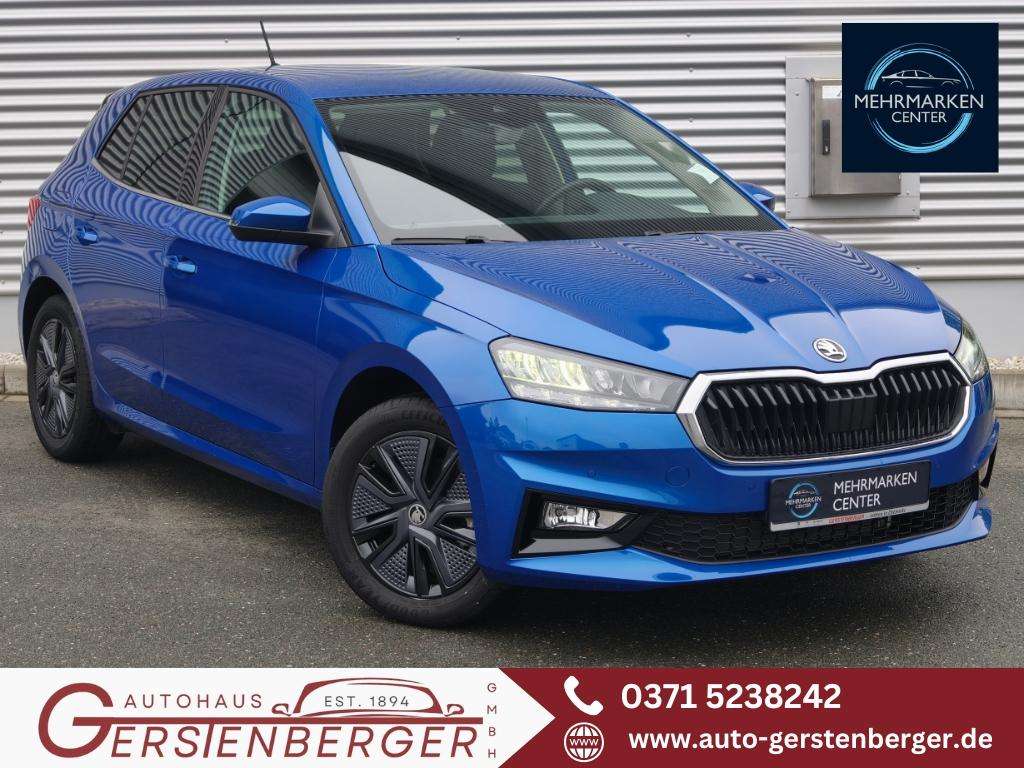 Fahrzeugbild eines Skoda Fabia