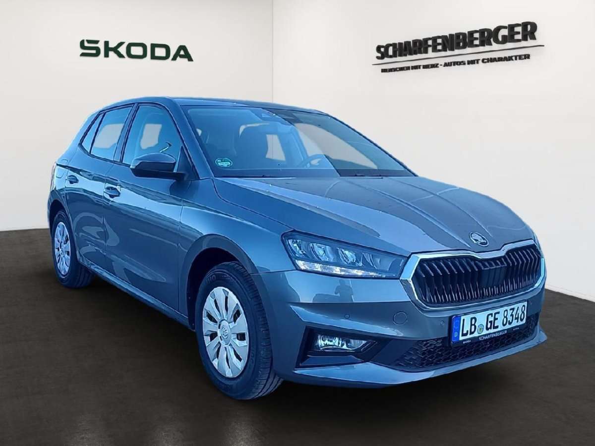 Fahrzeugbild eines Skoda Fabia