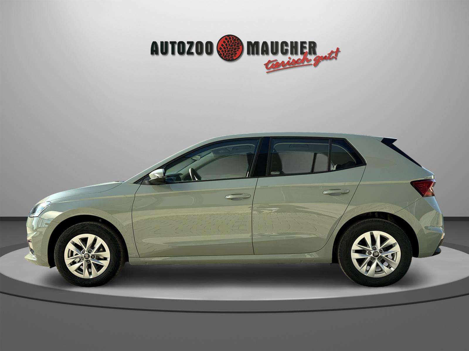 Fahrzeugbild eines Skoda Fabia