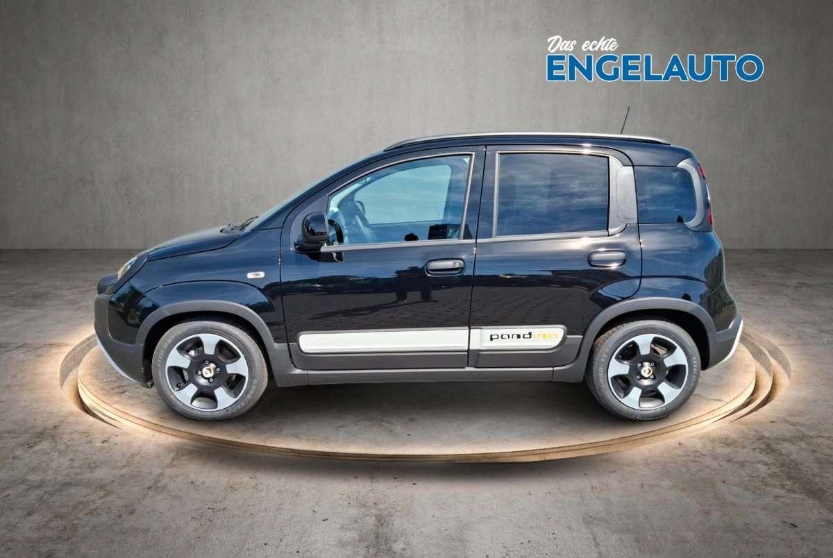 Fahrzeugbild eines Fiat Panda