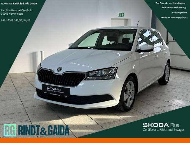 Fahrzeugbild eines Skoda Fabia