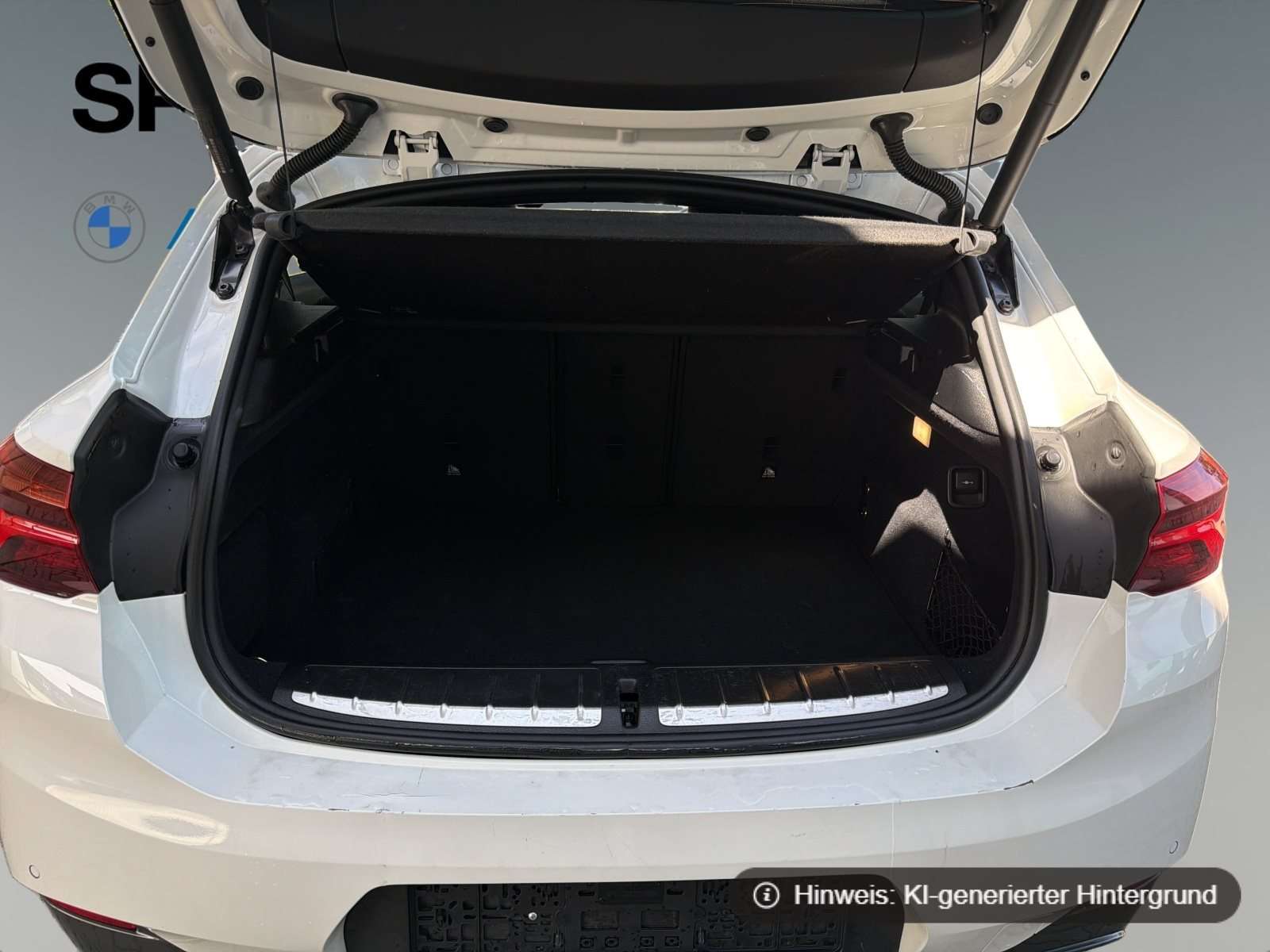 Fahrzeugbild eines BMW X2