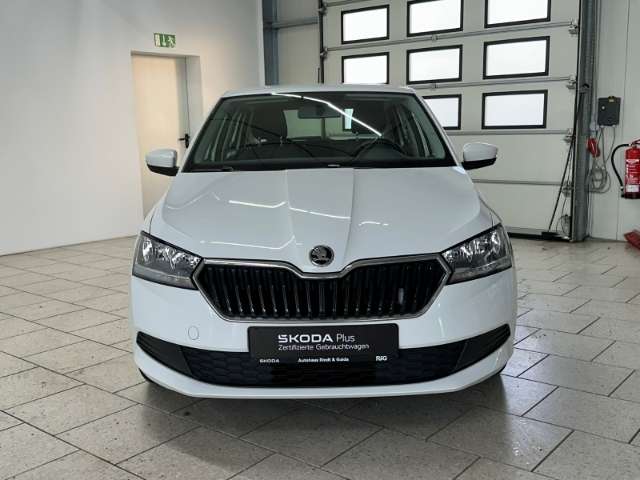 Fahrzeugbild eines Skoda Fabia