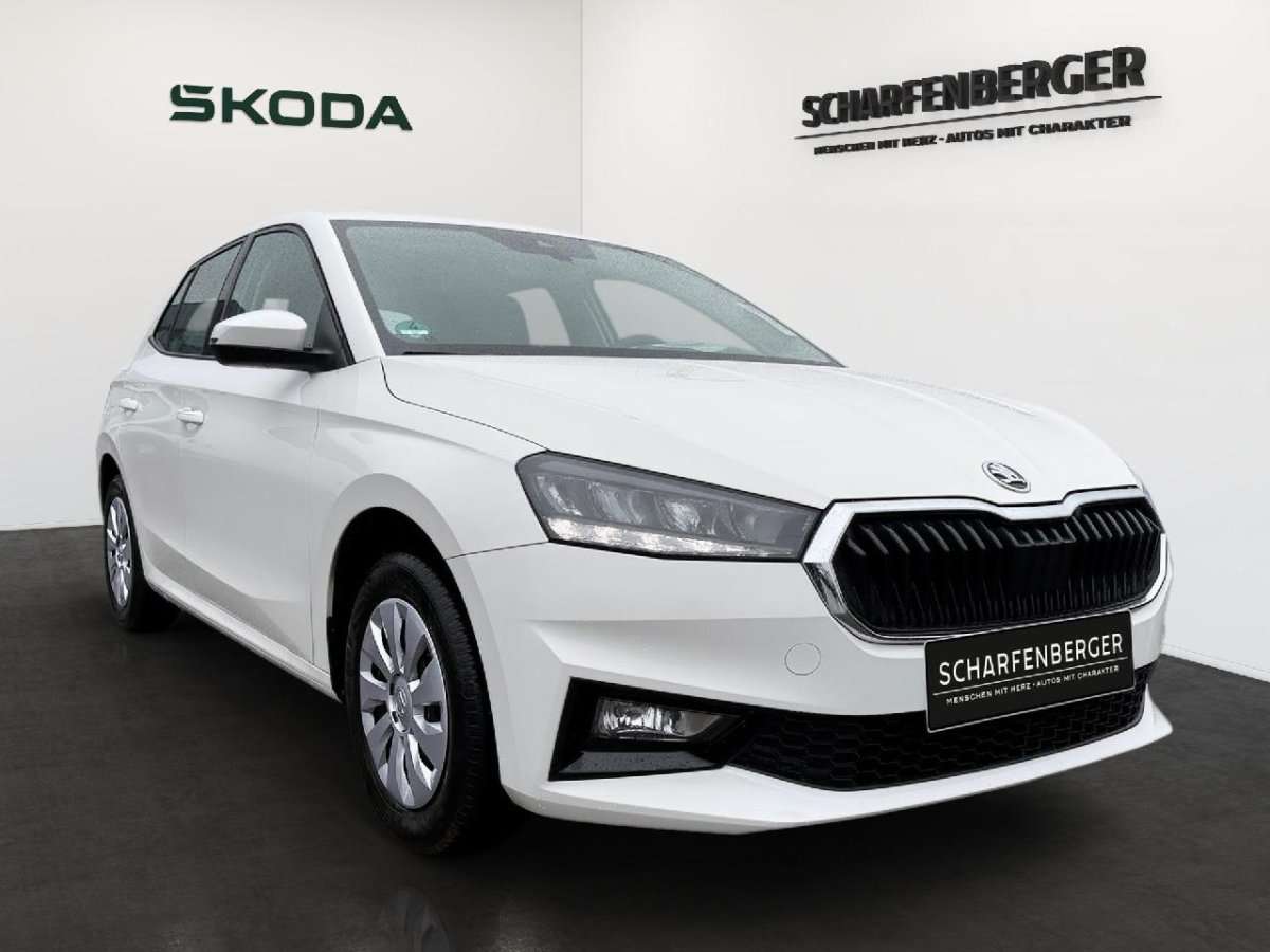 Fahrzeugbild eines Skoda Fabia
