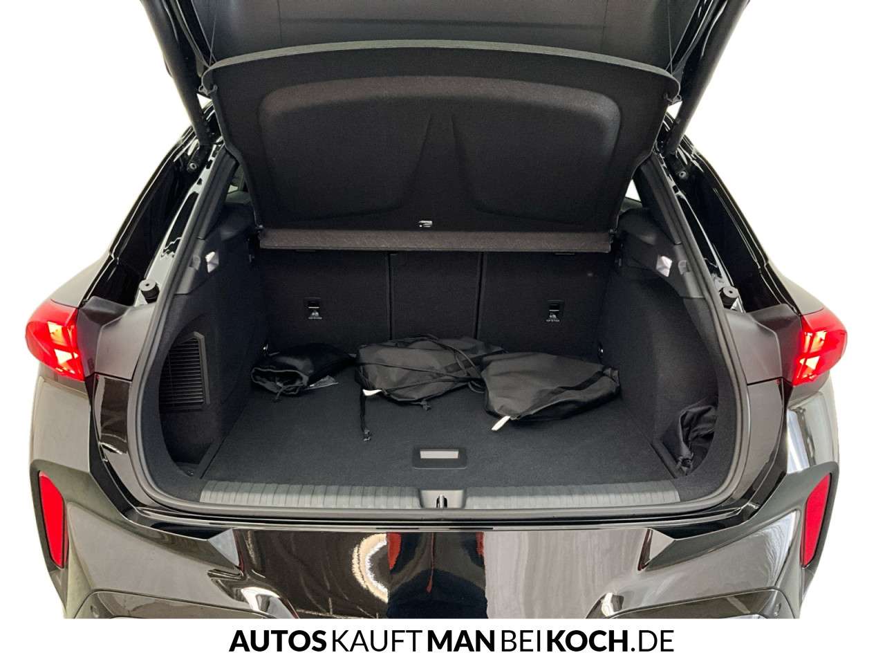 Fahrzeugbild eines CUPRA Terramar