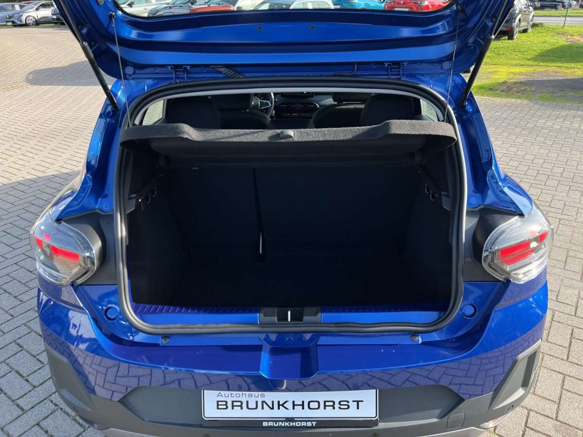 Fahrzeugbild eines Dacia Sandero