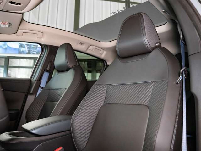 Fahrzeugbild eines Nissan Leaf