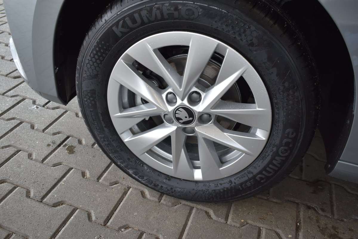 Fahrzeugbild eines Skoda Fabia