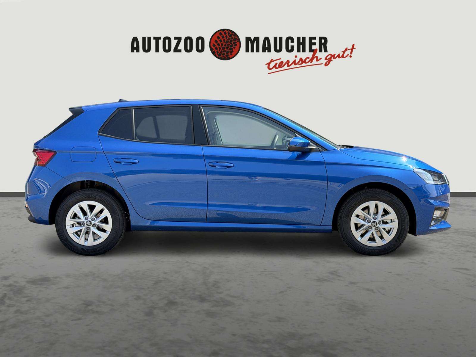 Fahrzeugbild eines Skoda Fabia