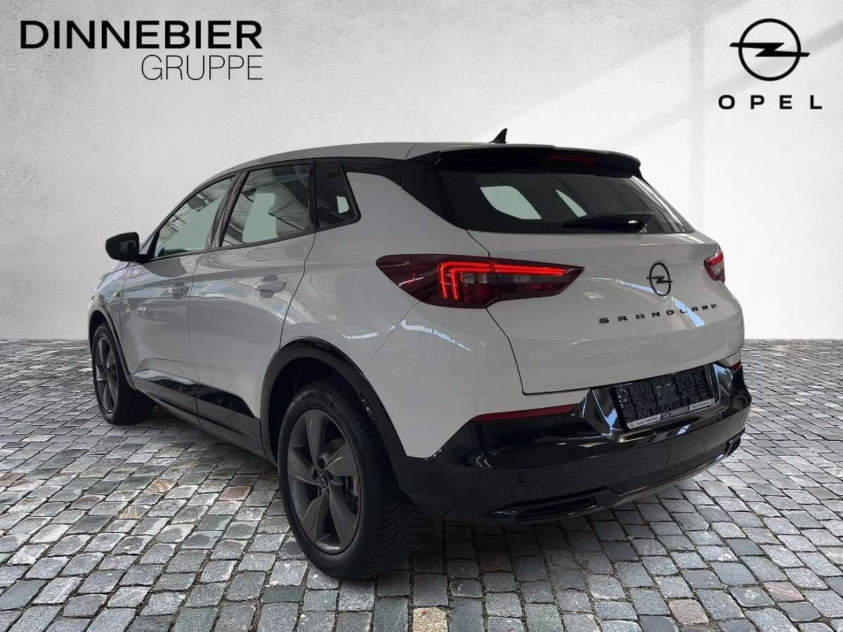 Fahrzeugbild eines Opel Grandland X