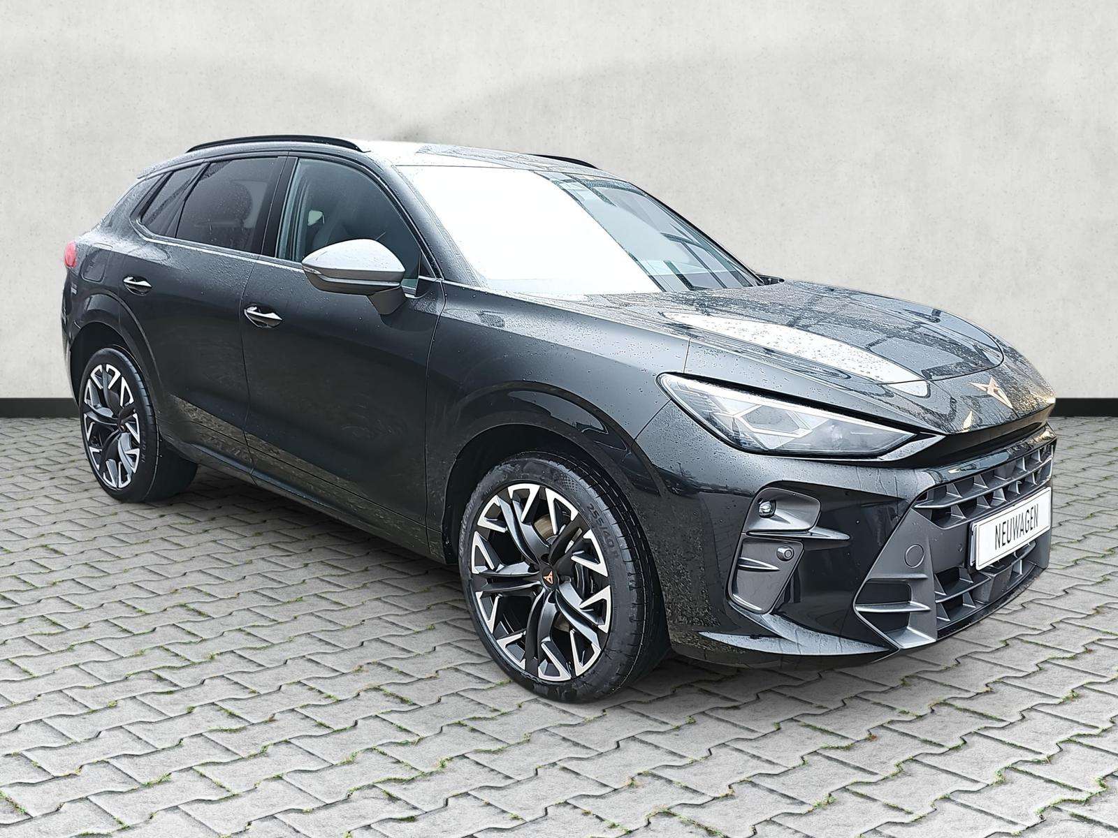 Fahrzeugbild eines CUPRA Terramar